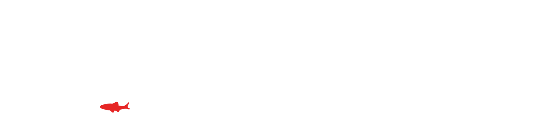AFS Student & Early Career Professionals Subsection